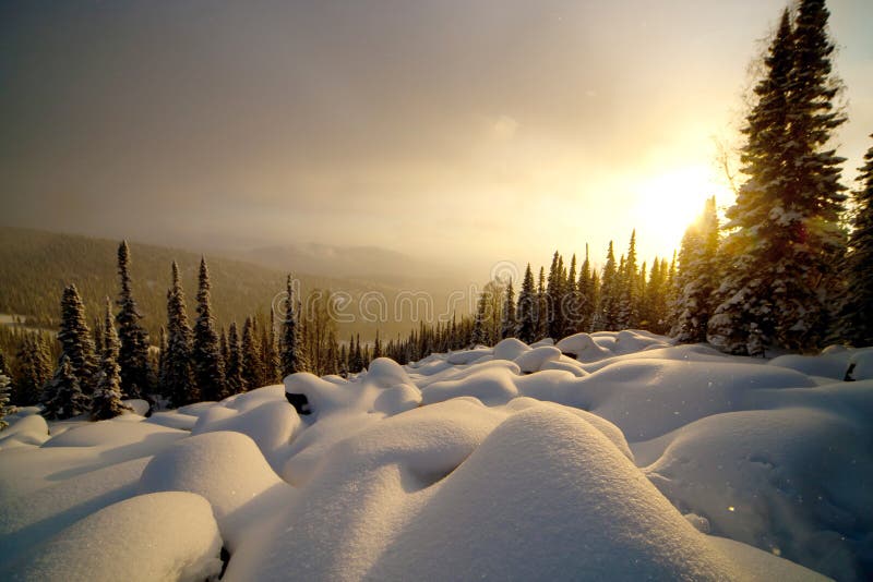 Winter sunset in the forest