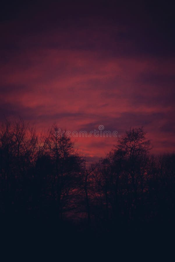 Winter sunset landscape with red sky and leafless trees