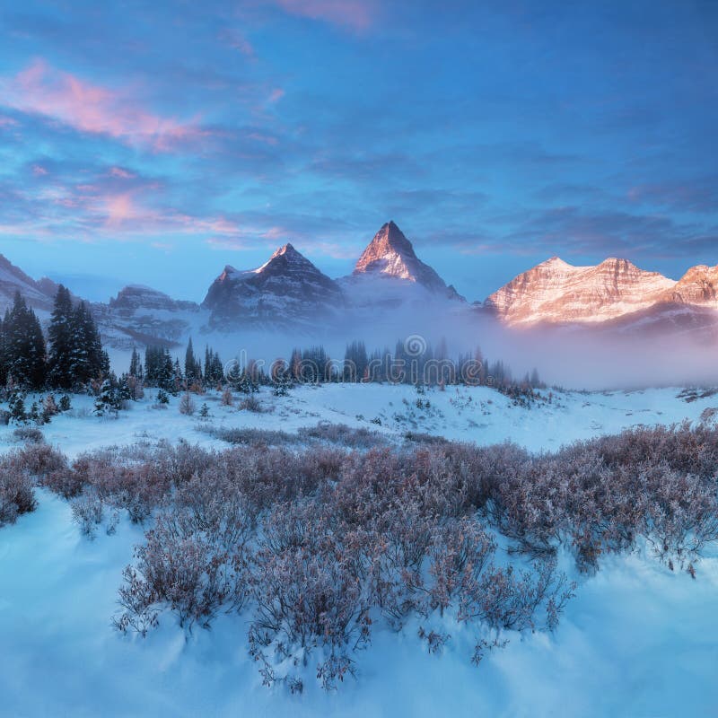 Winter sunset. Mount Assiniboine, also known as Assiniboine Mountain, is a pyramidal peak mountain located on the Great Divide.