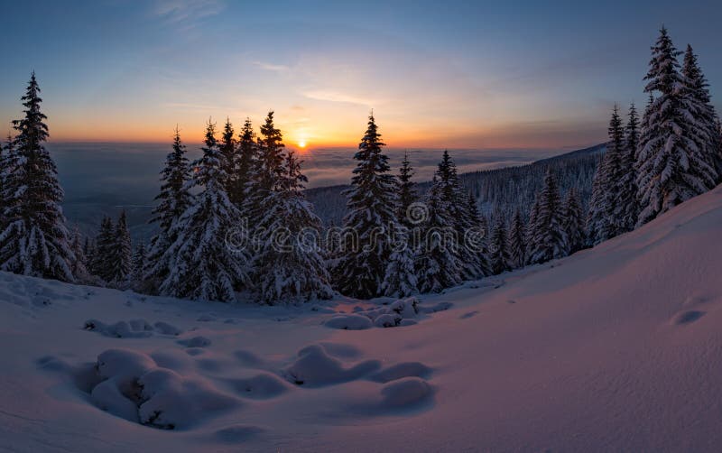 Winter sunset snow field on top of mountain with frosty pine trees on the background of taiga forest and hills under colorful sky.