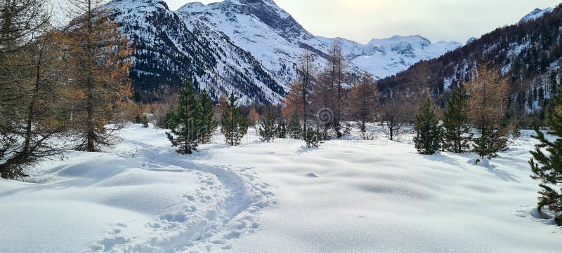 Winter In The Swiss Alps Switzerland Panoramic View Snowy Winter Landscape In The Mountains Winter In The Swiss Alps Switzerland Panoramic View Snowy Winter Landscape In The Mountains