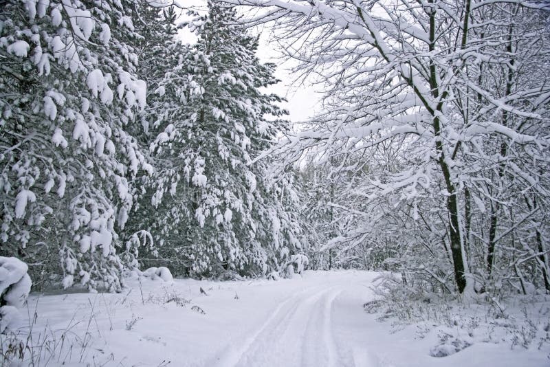 Winter-szenische Saisonstraße