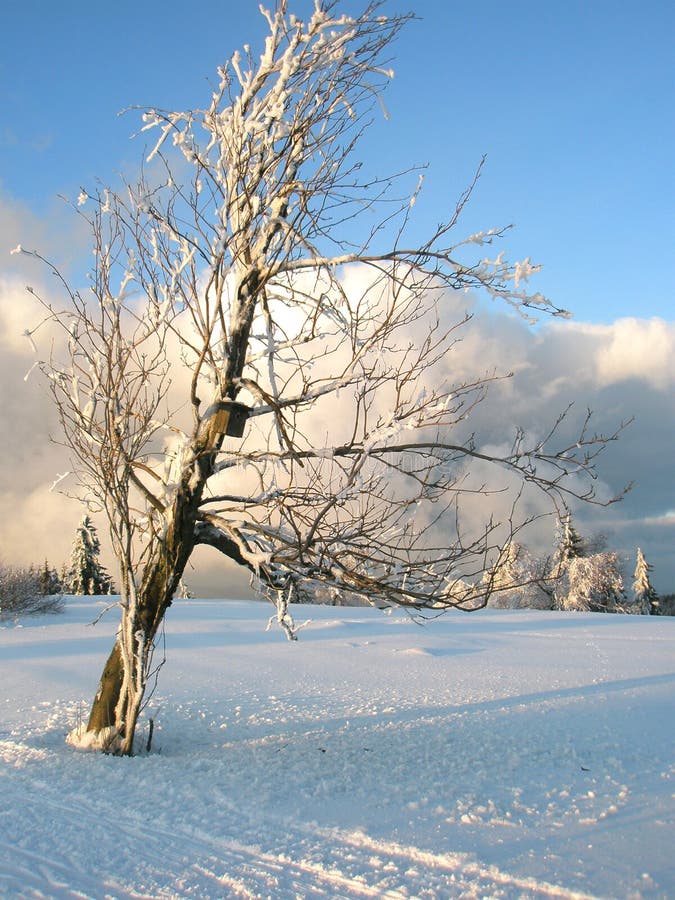 Winter time stock image. Image of blue, freezing, winter 12253365