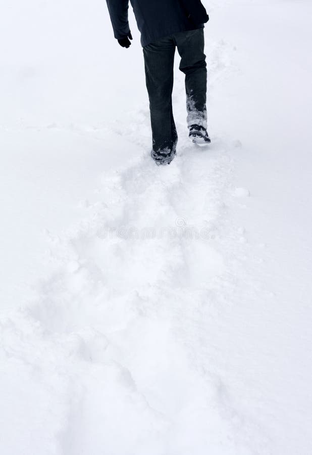 Winter: traces in snow