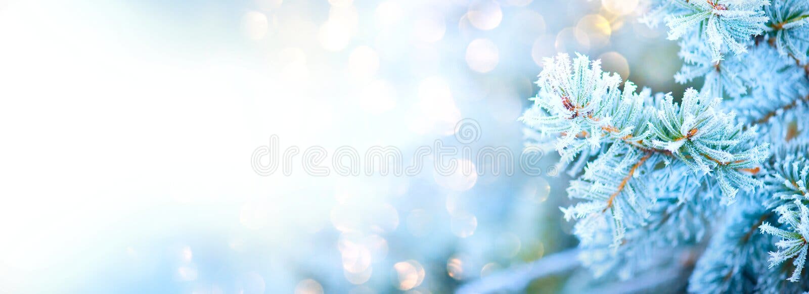 3,897,341 Winter Background Stock Photos - Free & Royalty-Free Stock Photos  from Dreamstime