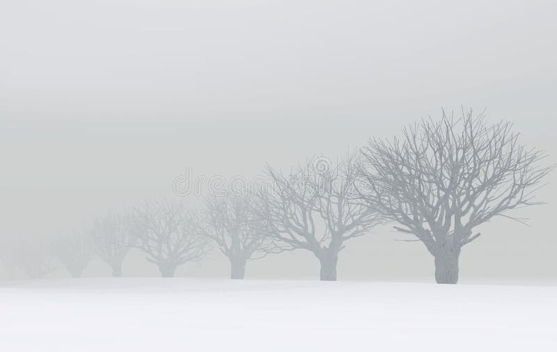 Winter trees in fog