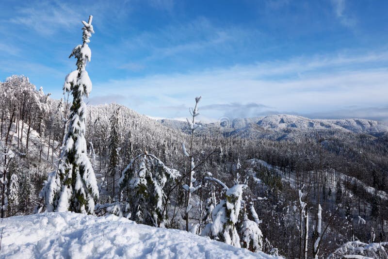 Zima vo Veľkej Fatre, región Turiec, Slovensko