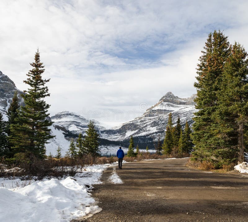 Winter View Of Bow Lake In Banff National Park Alberta Canada Stock