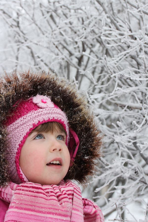 Winter walk stock photo. Image of frost, interest, forest 29054328