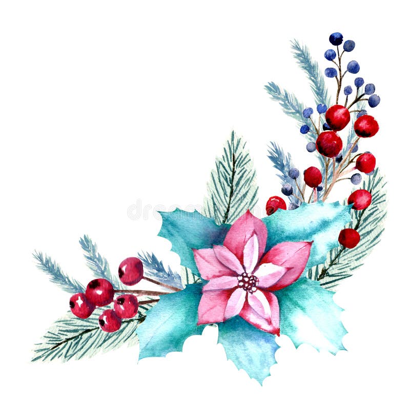 Winter watercolor composition with poinsettia flowers, berries, fir branches. Hand-drawn Christmas illustration. For invitations, greeting cards, prints, posters, advertising.