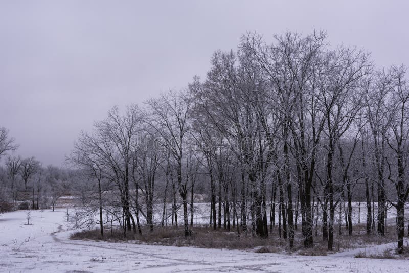 Winter Madison Wisconsin Stock Images Download 200 Royalty Free Photos