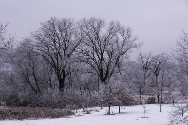Winter Madison Wisconsin Stock Images Download 200 Royalty Free Photos