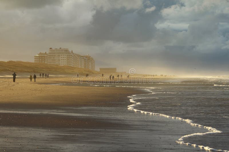 Golden sunllight shines through the brooding dark clouds, as people take a walk on a wintery Belgian Coast. The appartment blocks of Wenduine in West Flanders are visible in the background. Golden sunllight shines through the brooding dark clouds, as people take a walk on a wintery Belgian Coast. The appartment blocks of Wenduine in West Flanders are visible in the background