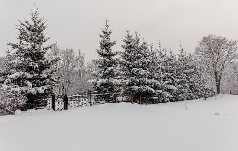 Winter white garden with entrance gate royalty free stock images