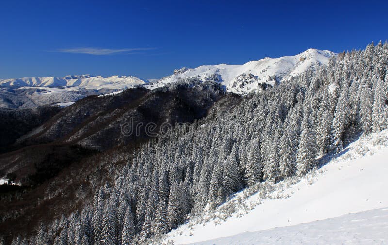 Winter - white landscape in the mountains. Winter - white landscape in the mountains.