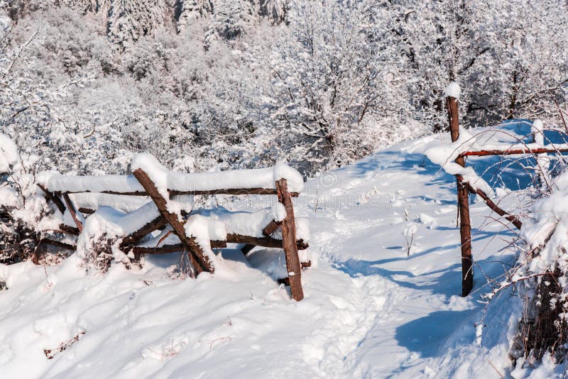 Winter time stock image. Image of landscape, snow, forest 98465761