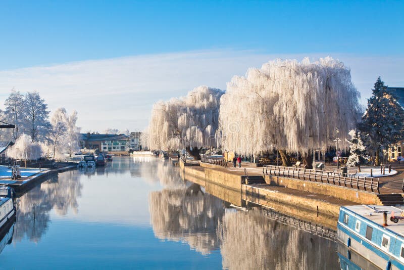 Winter willow tree at the riverside 2