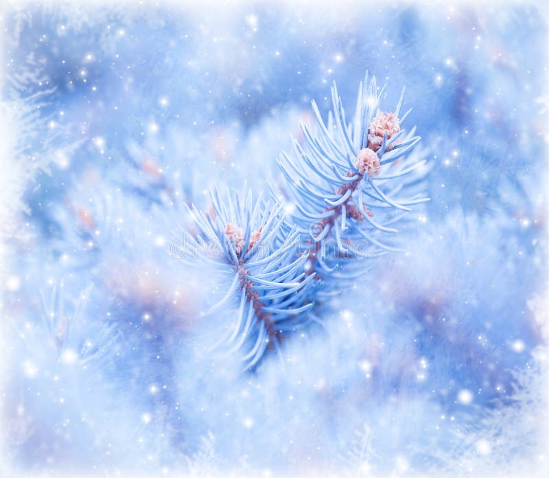 Frozen glass window stock image. Image of crystals, xmas - 6689241