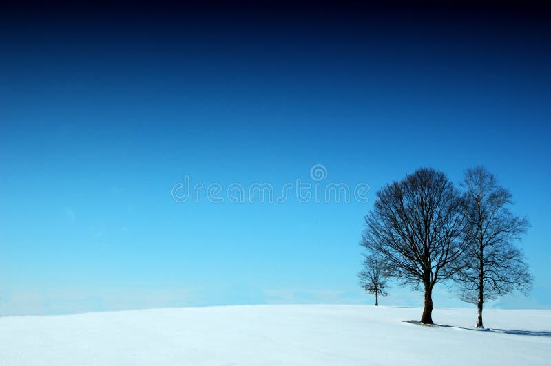 Winter wonder