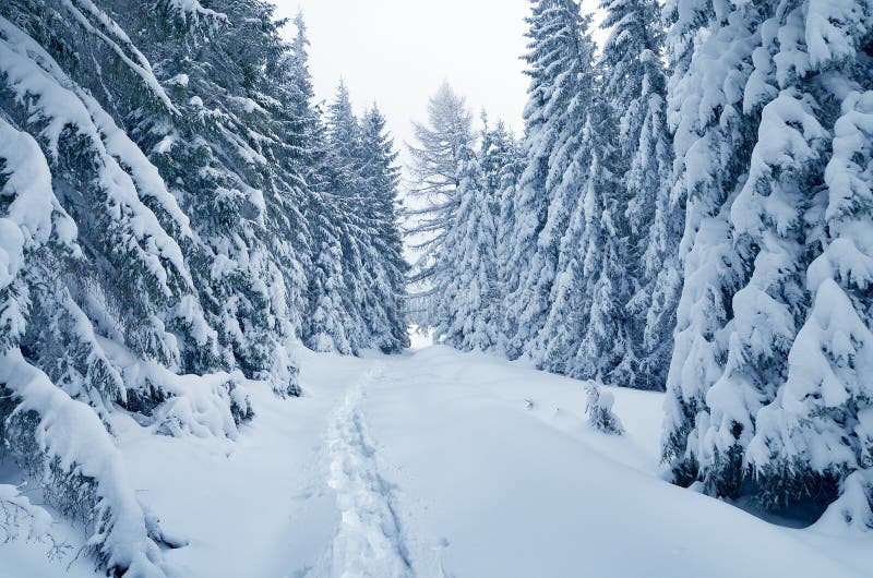 Weihnachten Landschaft.