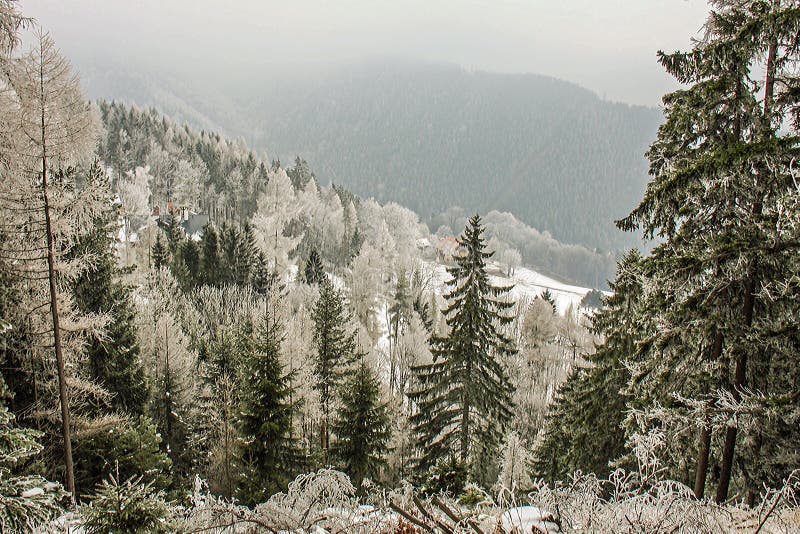 Winter wonderland mountain scenery with centuries-old spruce and pine in the austrian Alps. Mountain landscape of Semmering. royalty free stock photography Winter wonderland mountain scenery with centuries-old spruce and pine in the austrian Alps. Mountain landscape of Semmering. royalty free stock photography