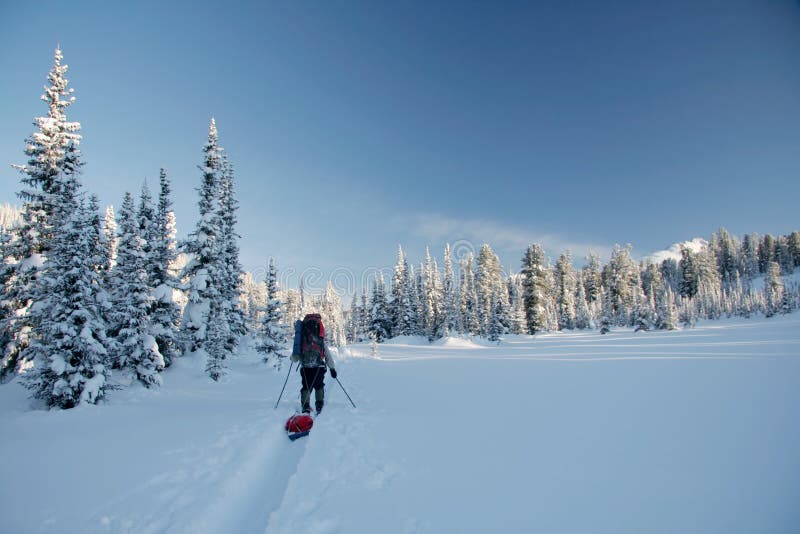 Winter wonderland and skier on ski-track