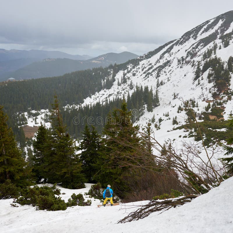 Winter wooded mountains. Male freeriding on snowboard. Mountain countryside for backcountry snowboarding and ski-touring stock photography Winter wooded mountains. Male freeriding on snowboard. Mountain countryside for backcountry snowboarding and ski-touring stock photography