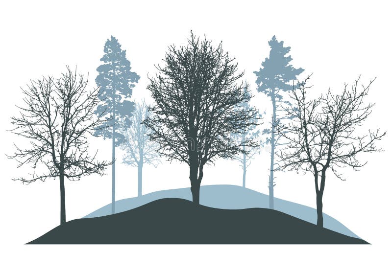 Winter woodland, silhouette of bare trees, pines. Beautiful nature, landscape. Vector illustration vector illustration Winter woodland, silhouette of bare trees, pines. Beautiful nature, landscape. Vector illustration vector illustration