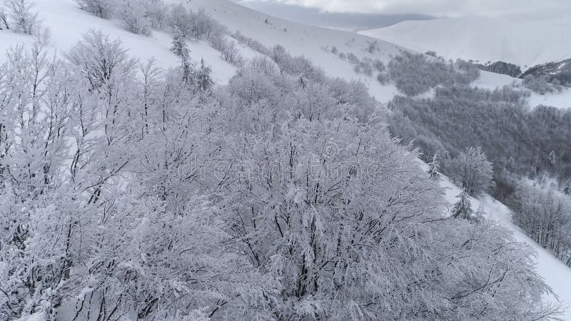 Winterberglandschap met sneeuwbedekking