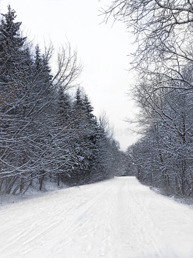 Winterland photos libres de droits Winterland photos libres de droits