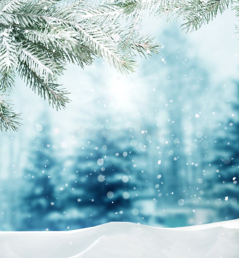 Winterlandschaft stockfoto