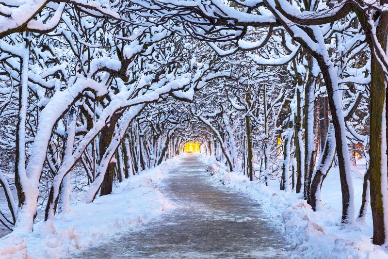 Winterlandschaft des schneebedeckten Parks in Gdansk