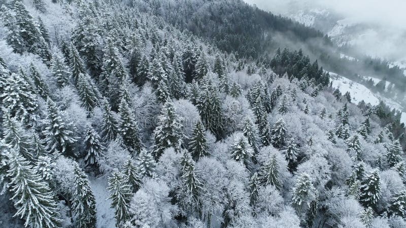 Winterlandschaft. Luftaufnahme