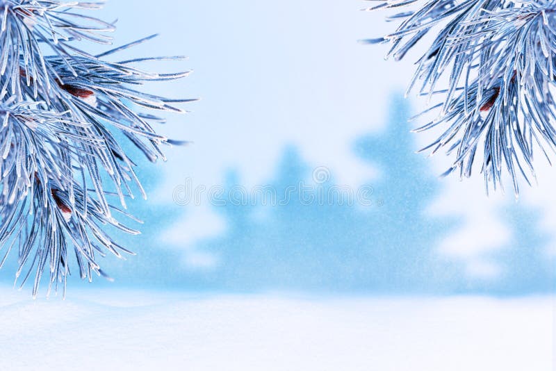 Winterlandschaft mit Schnee Weihnachtshintergrund mit Tannenzweig stockfoto Winterlandschaft mit Schnee Weihnachtshintergrund mit Tannenzweig stockfoto