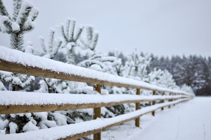 Winterlandschaft mit schneebedecktem Wald und einem Bretterzaun stockfotografie Winterlandschaft mit schneebedecktem Wald und einem Bretterzaun stockfotografie