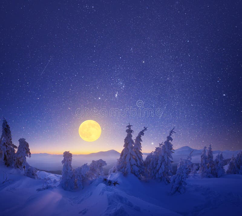 Winter landscape at night. Light of the full moon. Winter landscape at night. Light of the full moon