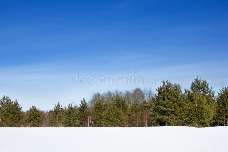 Winterlandschaft Schneebedecktes Feld und Wald am Horizont an einem klaren Wintertag Art Russlands im Winter Weiße Driftstoffe un lizenzfreie stockfotos Winterlandschaft Schneebedecktes Feld und Wald am Horizont an einem klaren Wintertag Art Russlands im Winter Weiße Driftstoffe un lizenzfreie stockfotos