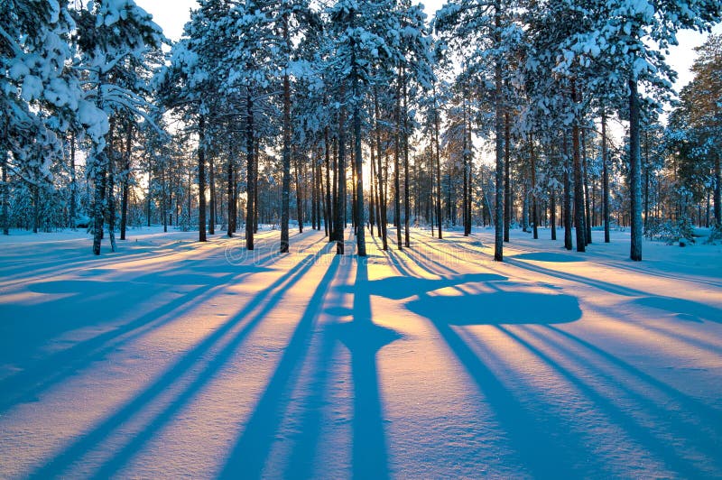 Winterlandschaft. Sonnenuntergang. lizenzfreie stockfotos Winterlandschaft. Sonnenuntergang. lizenzfreie stockfotos