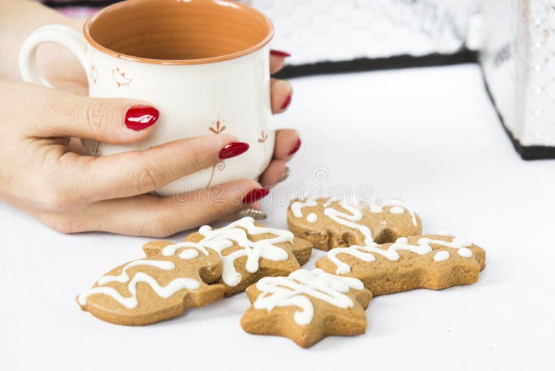Winterlebkuchen und Teeschale stockbild Winterlebkuchen und Teeschale stockbild