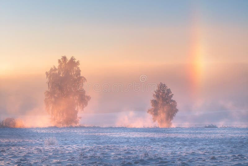 frost Foto & Bild  landschaft, jahreszeiten, winter Bilder auf  fotocommunity