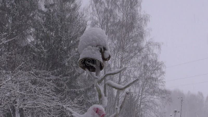 Winterschneesturm, der in Garten und schneebedeckten Pitcher fällt