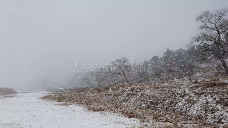 Winterschneesturm mit trockenem Wiesensee und blühenden Wäldern am Horizont. kalte saisonale Blizzard Taubheit