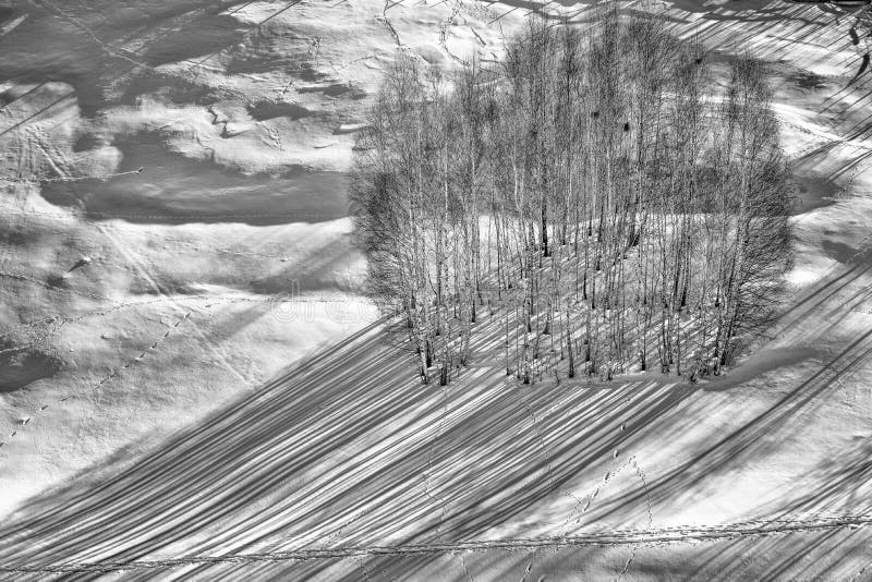 Winterszene in der Karpatenberg-, Fern- und rauenumwelt stockbild Winterszene in der Karpatenberg-, Fern- und rauenumwelt stockbild