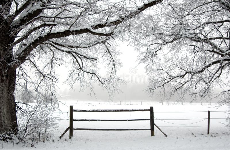 Éste es un melancolía el lugar en bávaros en Enero, su niebla frío 70, 2 4120 3.