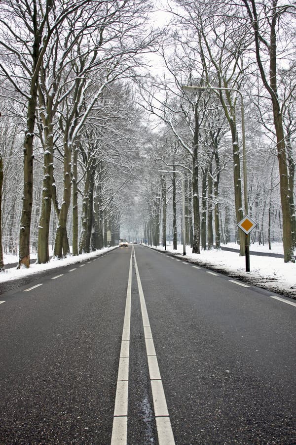 Countryroad in wintertime in the Netherlands. Countryroad in wintertime in the Netherlands