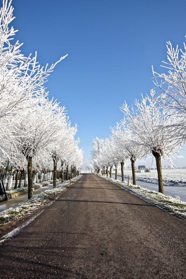 Countryroad in wintertime in the Netherlands. Countryroad in wintertime in the Netherlands