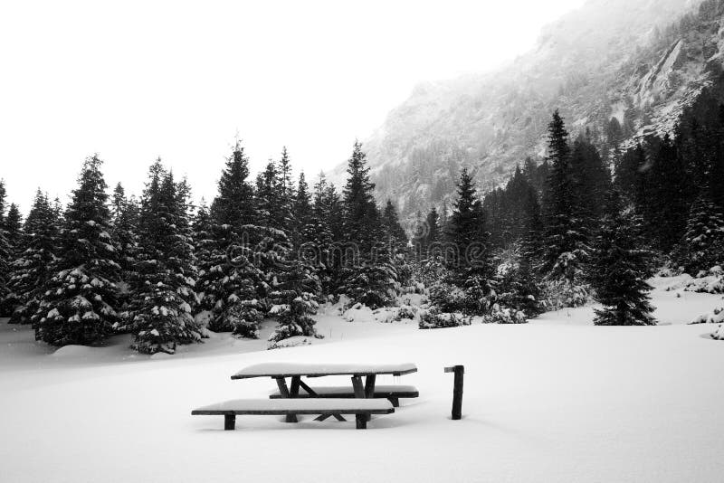 Winterwald lizenzfreies stockfoto Winterwald lizenzfreies stockfoto