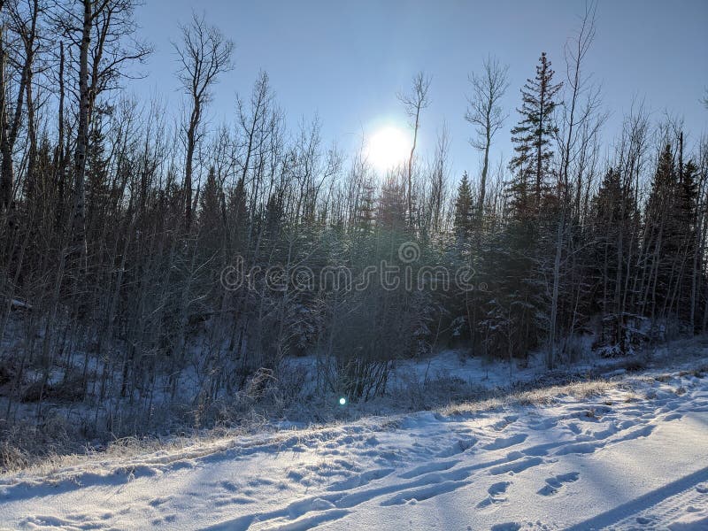 Wintery snowy prairie day stock image. Image of prairie 165659353