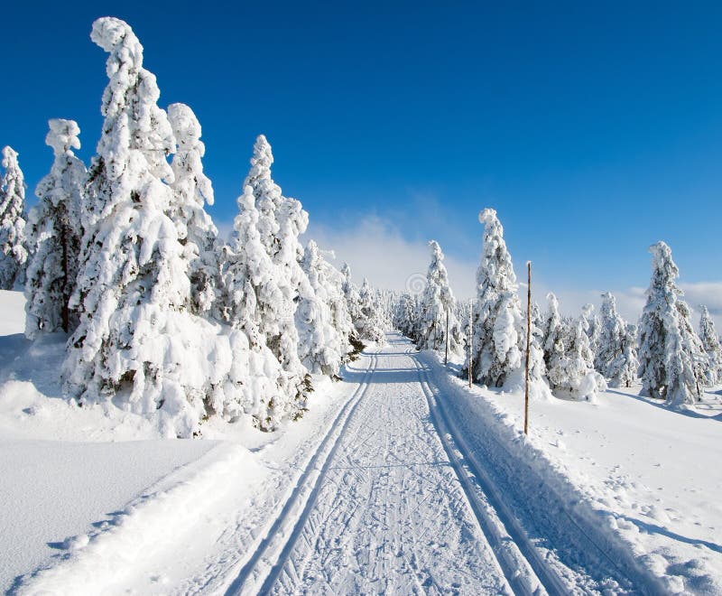 Wintry landscape with modified cross country skiing way