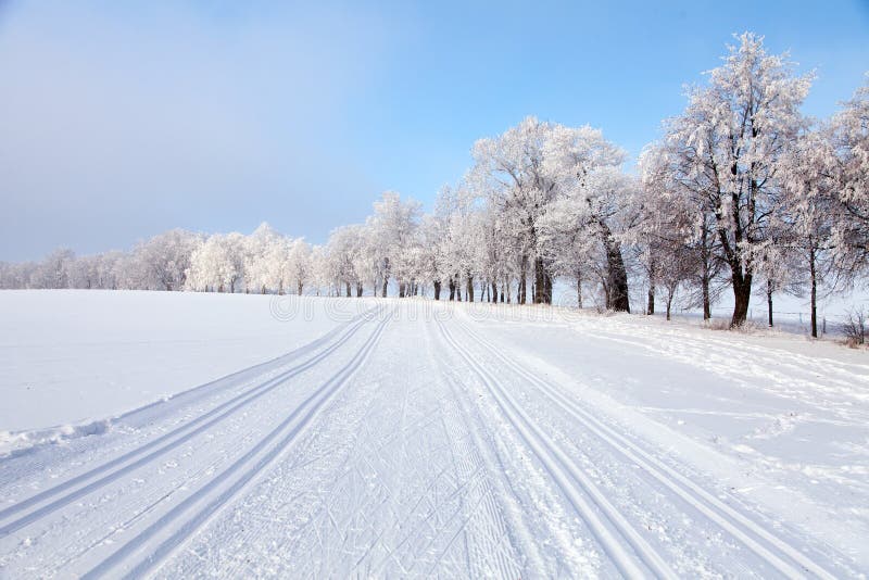 Wintry landscape with modified cross country skiing way